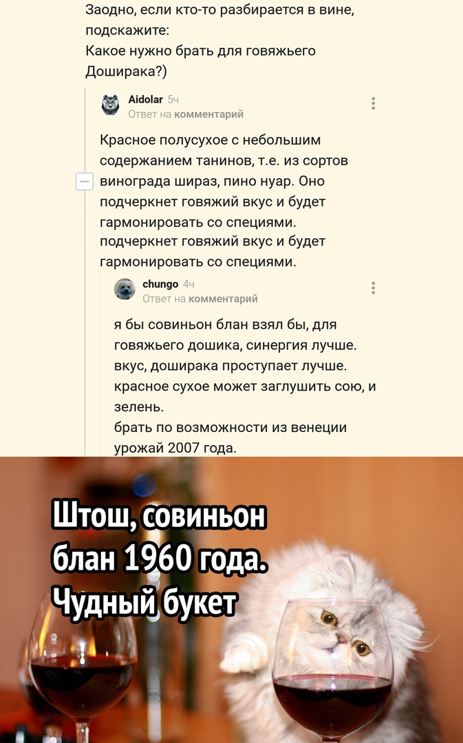 Заодно ЕСЛИ КТОТО разбирается Б ВИНЕ ПОДСКЭЖИТЭЕ Какое нужно брать для говяжьего Доширака Аійоіаг комментарии Красное полусухое небольшим содержанием танинов те из сортов винограда шираз пино нуар Оно подчеркнет говяжий вкус и будет гармонировать со специями подчеркнет говяжий вкус и будет гармонировать со специями сішпво я бы совиньон бпан взял бы для говяжьего дошика синергия лучше вкус доширака