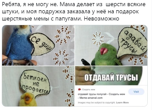 Ребята я не могу не Мама делает из шерсти всякие штуки и моя подружка заказала у неё на подарок шерстяные мемы с папугами Невозможно с
