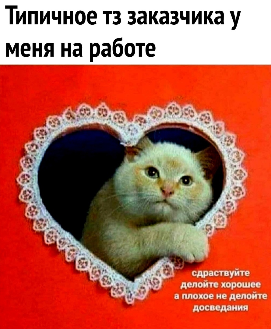 Типичное тз заказчика у меня на работе