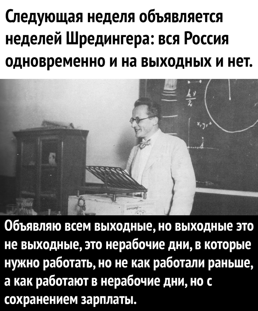 Следующая неделя объявляется неделей Шредингера вся Россия одновременно и на выходных и нет в аг _ Объявляю всем выходные но выходные это не выходные это нерабочие дни в которые нужно работать но не как работали раньше а как работают в нерабочие дни но с сохранением зарплаты