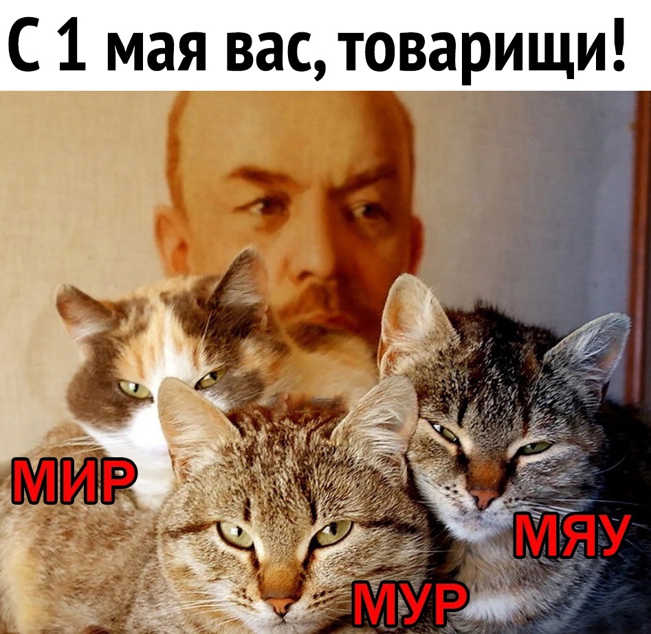 С 1 мая вас товарищи