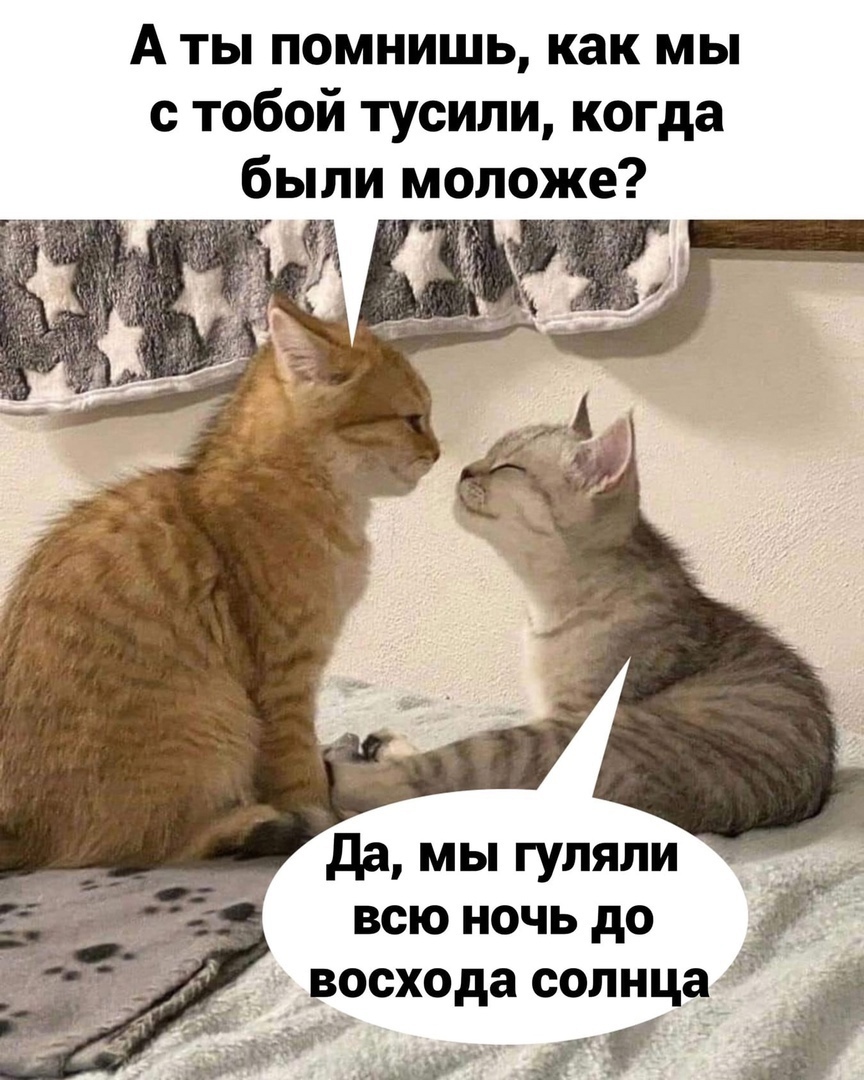 А ты помнишь как мы с тобой тусипи когда были моложе да мы гуляли всю ночь до __восхода солнца