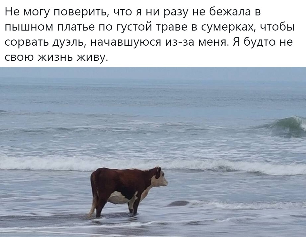 Не могу поверить что я ни разу не бежала в пышном платье по густой траве в сумерках чтобы сорвать дуэль начавшуюся из за меня Я будто не свою жизнь живу