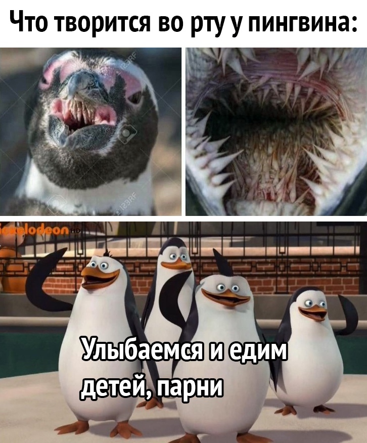 Что творится во рту у пингвина и