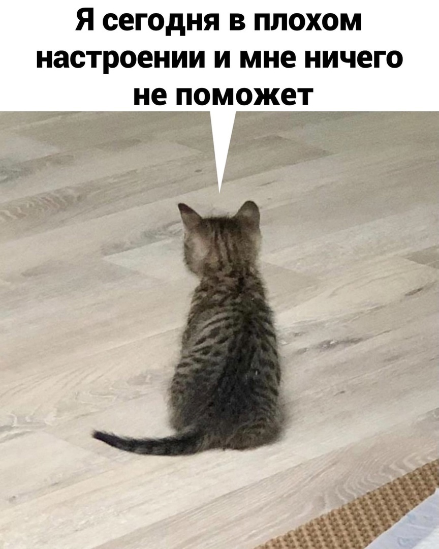 Я СЕГОДНЯ В ПЛОХОМ настроении И мне ничего не ПОМОЖЕТ _ а