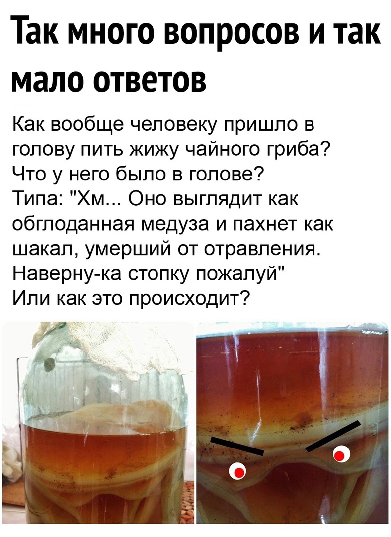 Так много вопросов и так мало ответов Как вообще человеку пришло в голову пить жижу чайного гриба Что у него было в голове Типа Хм Оно выглядит как обглоданная медуза и пахнет как шакал умерший от отравления Наверну ка стопку пожалуй Или как это происходит