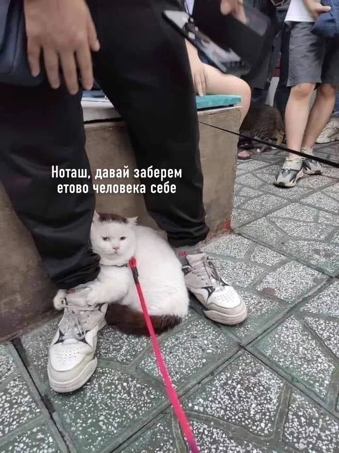 Ёй заберем ака себе