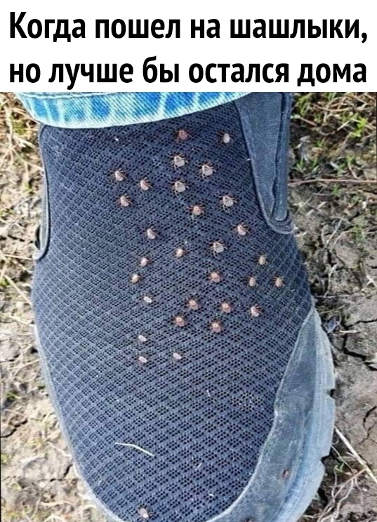 Когда пошел на шашлыки но лучше бы остался дома