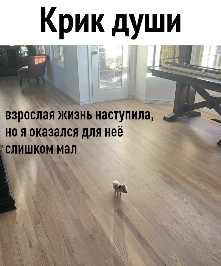 НО Я оказался ДЛЯ СЛИШКОМ МЗЛ