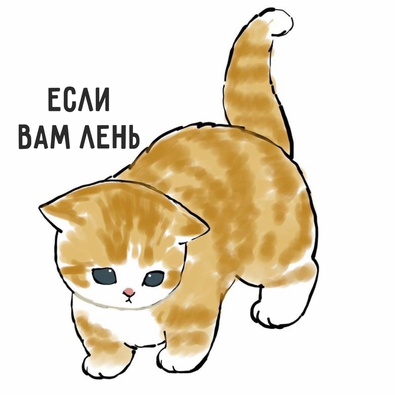 П 555