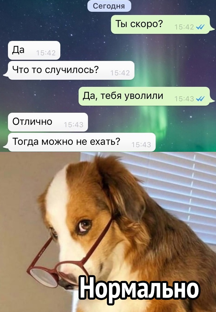 Что то случилось да тебя уволили Отлично _ Тогда можно не ехать іН Нормально