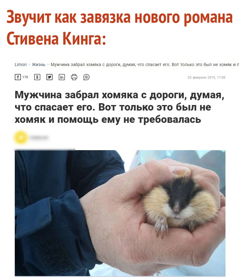 штоп Жизнь Мужчина забрал хомяка с доэоги думая что спасает его Вы гогью ею быг не хомяк и г чс у Ё Мужчина забрал хомяка с дороги думая что спасает его Вот только это был не хомяк и помощь ему не требовалась
