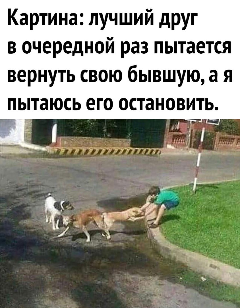 Картина лучший друг в очередной раз пытается вернуть свою бывшую а я пытаюсь его остановить