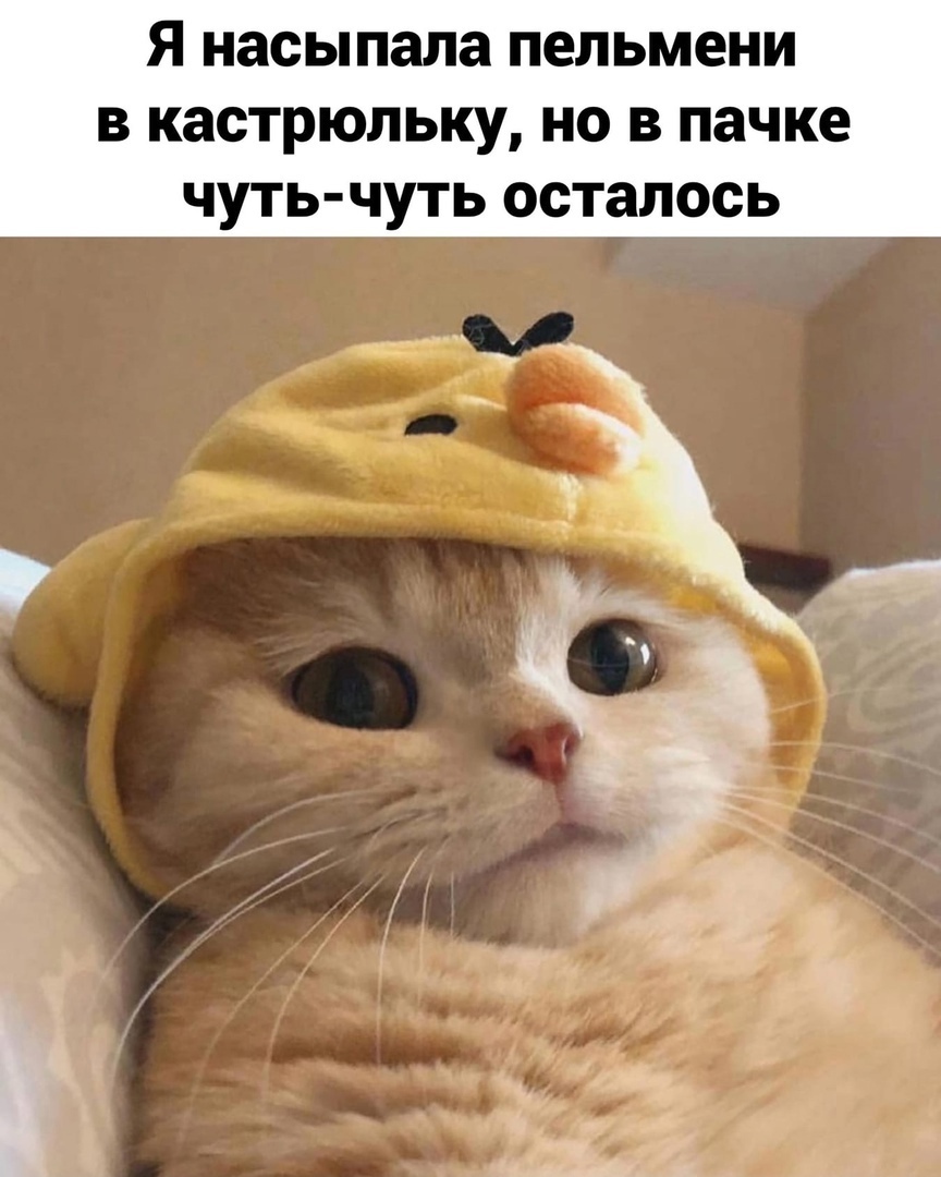 Я насыпала пельмени в кастрюльку, но в пачке чутьчуть осталось