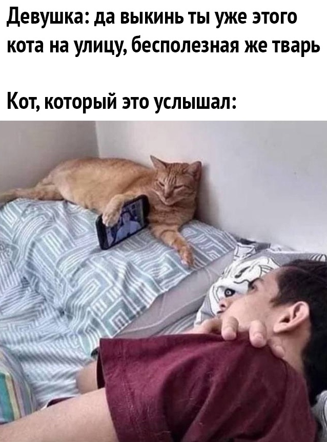 Девушка да ВЫКИНЬ ТЫ уже ЭТОГО КОТЗ на УЛИЦУ бесполезная же ТВЗРЬ Кот который это услышал