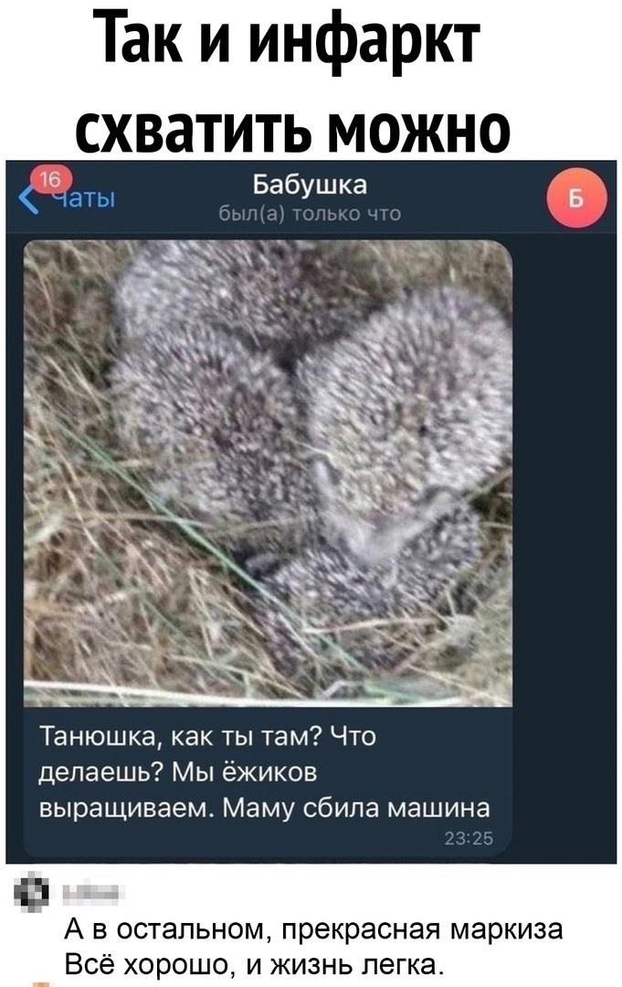 Так и инфаркт схватить можно Танюшка как ты там Что делаешь Мы ёжиков выращиваем Маму сбила машина А в остальном прекрасная маркиза Всё хорошо и жизнь легка