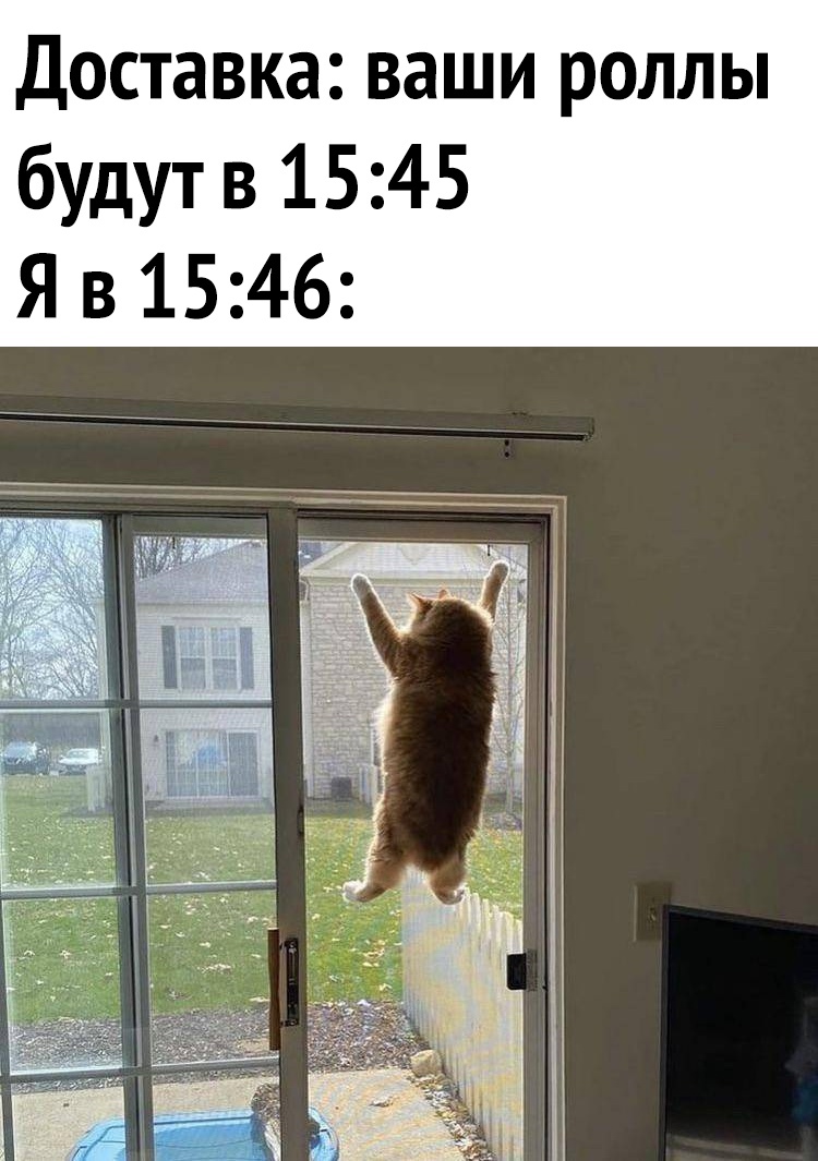 Доставка ваши роллы будут в 1545 Я в 1546