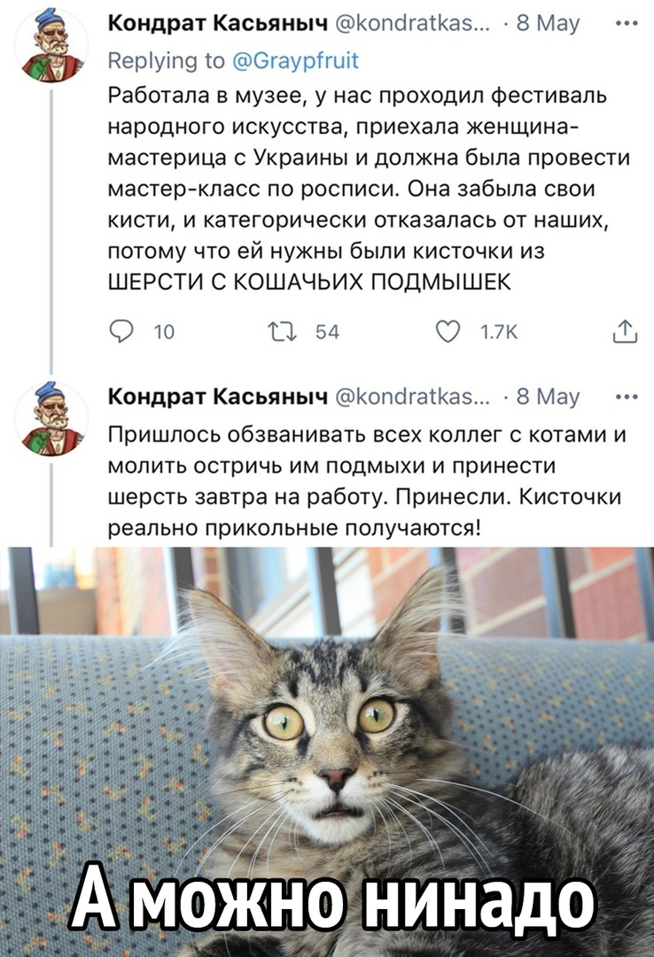 Кондрат Касьяныч КопогасКаз 8 Мау Реріуіп9 то Эгаурггиіі Работала в музее у нас проходил фестиваль народного искусства приехала женщина мастерица Украины и должна была провести мастеркласс по росписи Она забыла свои кисти и категорически отказалась от наших потому что ей нужны были кисточки из ШЕРСТИ С КОШАЧЬИХ ПОДМЫШЕК О 10 ТД 54 0 ПК Кондрат Касьяныч КопогатКа 8 Мау Пришлось обзванивать всех кол