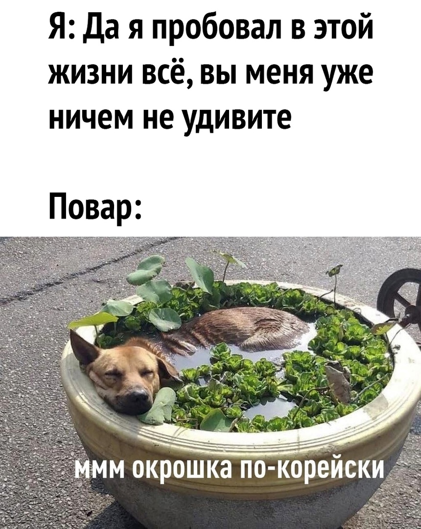 Я Да я пробовал в этой жизни всё вы меня уже ничем не удивите МММ окрошка ПО КОРЕИСКИ