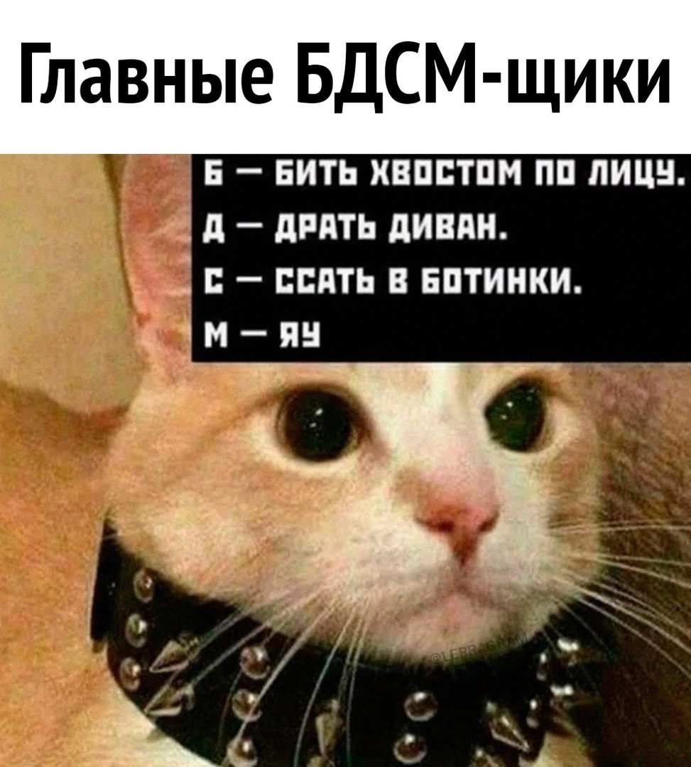 Главные БДСМ щики в Бить хвпстпм на лица А дпдть дивдн снять в вптинки 3 м ян тт