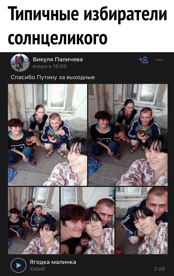 Типичные избиратели СОЛНЦЕЛИКОГО ь Вик пя Папичева 0 т у Спасибо Путину за выходные _ д _ _ Ш 5 Ягодка мапинка