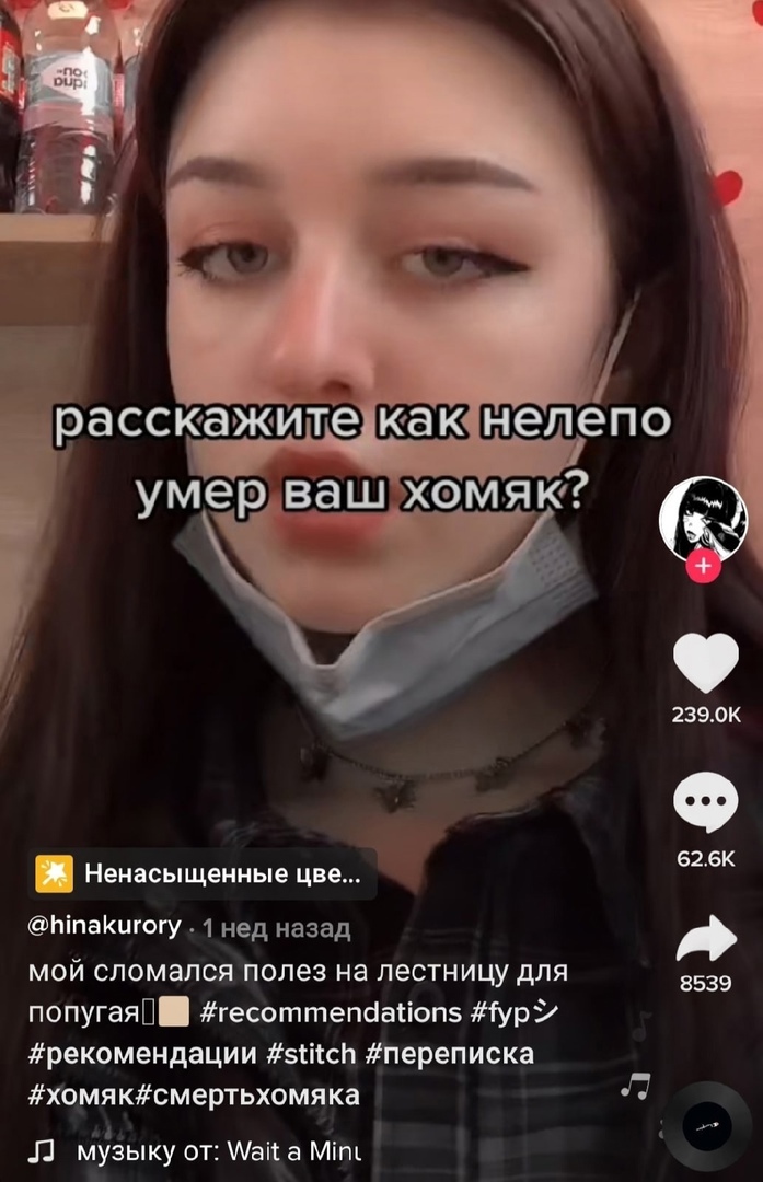 626К Ё Ненасыщенные цве ЬіпаКигогж 1 нед назад мой сломался полез на лестницу для 8539 попугаяП гесоттепсіасіопз Гур рекомендации зсікн переписка хомяксмертьхомяка П А _И Л Мізыку от Ааіі а Міт