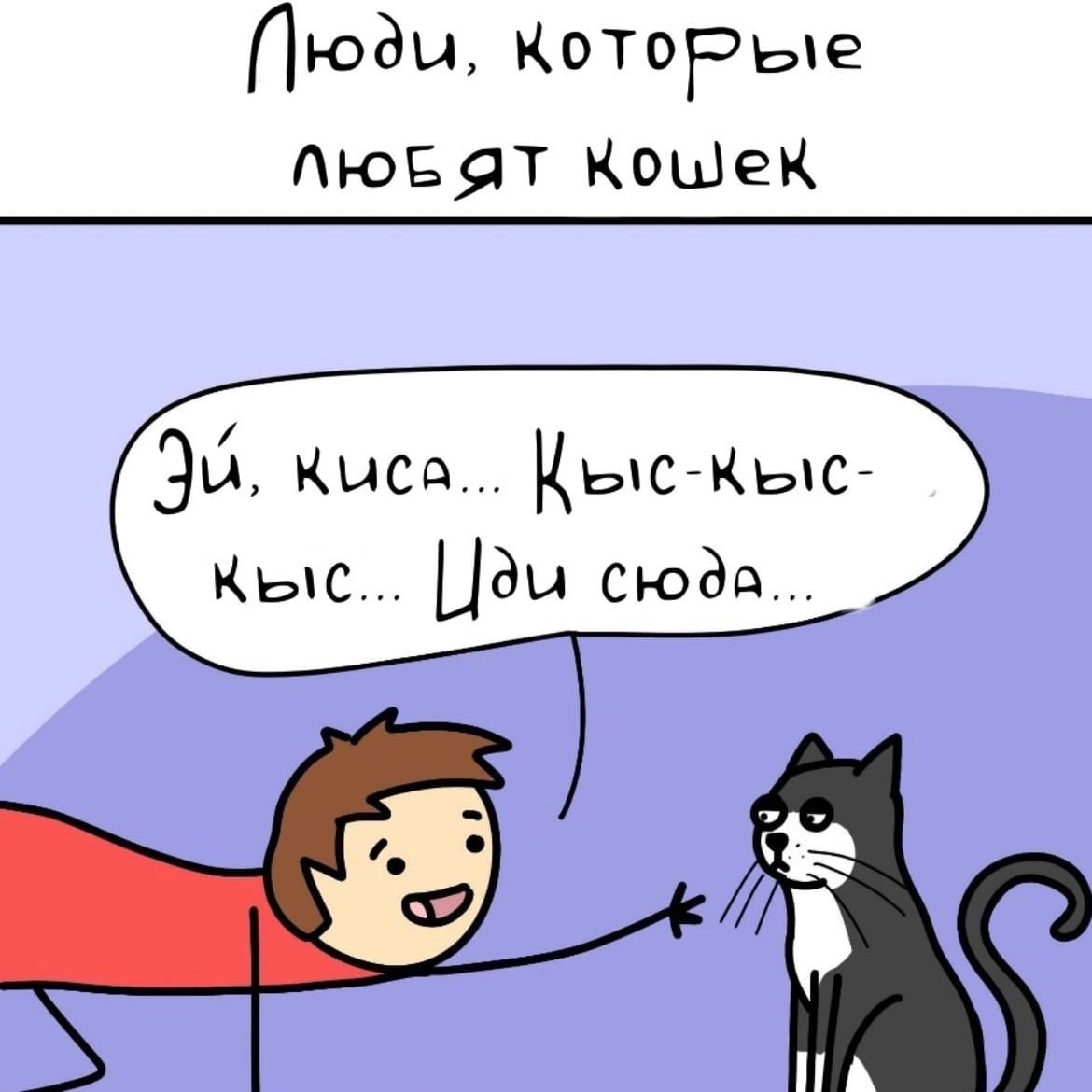 Люды КОТОРые дюв9т Кошек ЭЙ Киса Кью Кыс Кыс Цды сюда