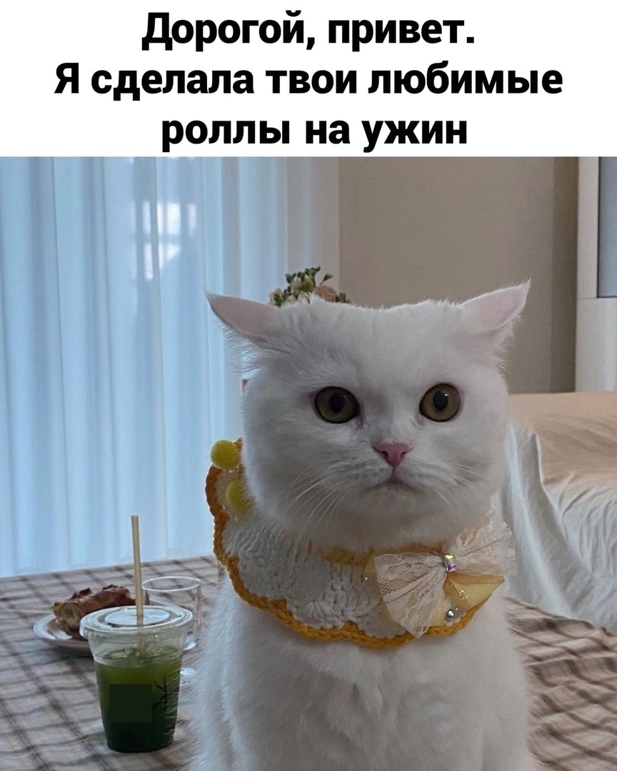 дорогой привет Я сделала твои любимые роллы на ужин М