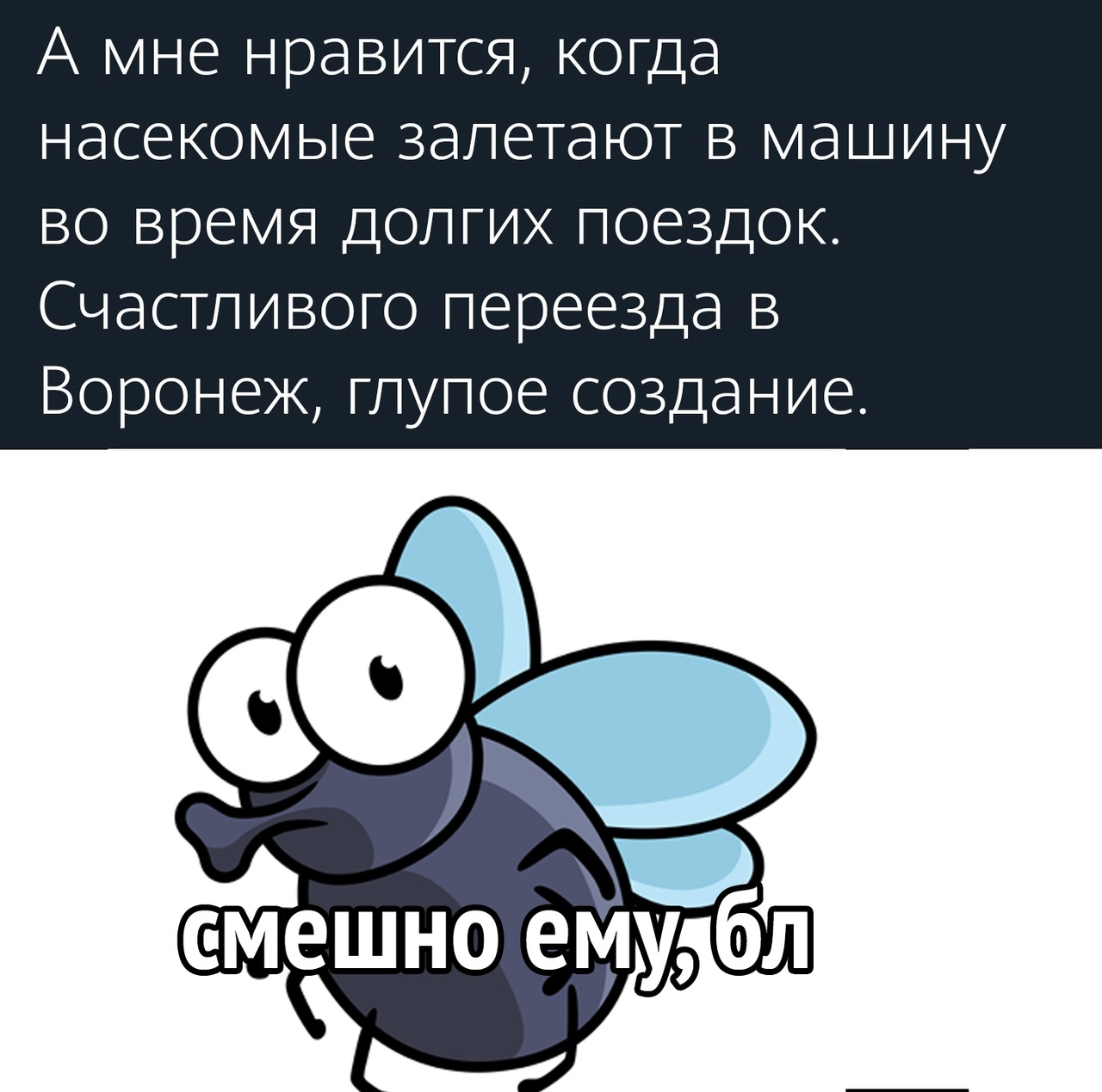 Глупая создание