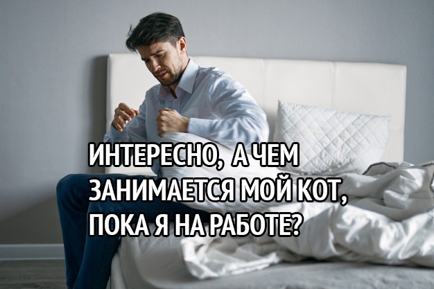 ЗАНИМАЕтсяМ