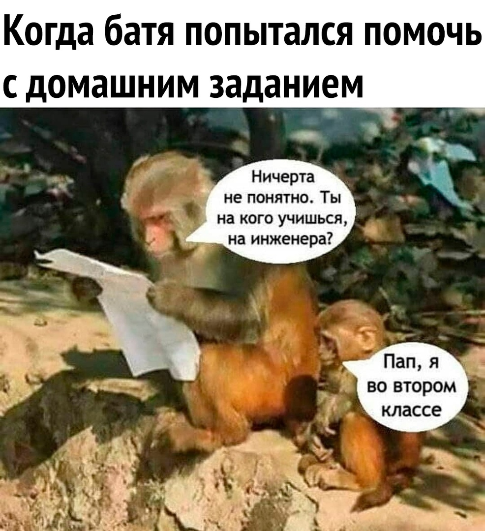 Когда батя попытался помочь с домашним заданием Ничерта _ не понятно Ты на кого учишься на инженера Пап я во втором классе