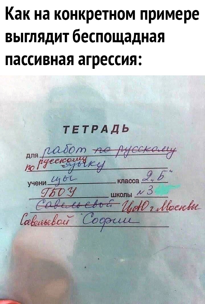 Как на конкретном примере выглядит беспощадная пассивная агрессия ТЕТРАДЬ для ЦТОп учени 54 клятва 960 школы 3
