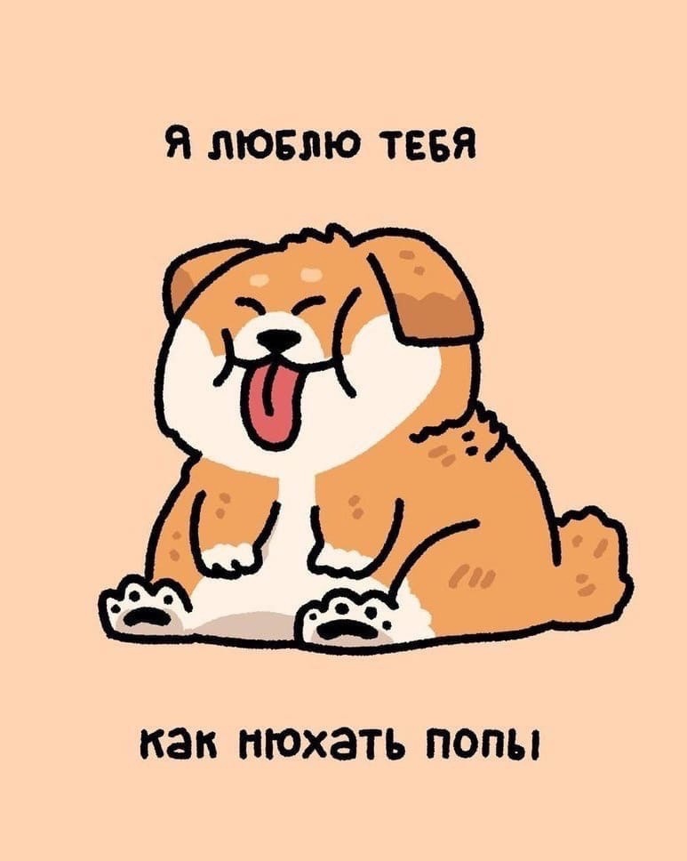 Я ЛЮБЛЮ ТЕБЯ как НЮХЭТЪ ПОПЪ