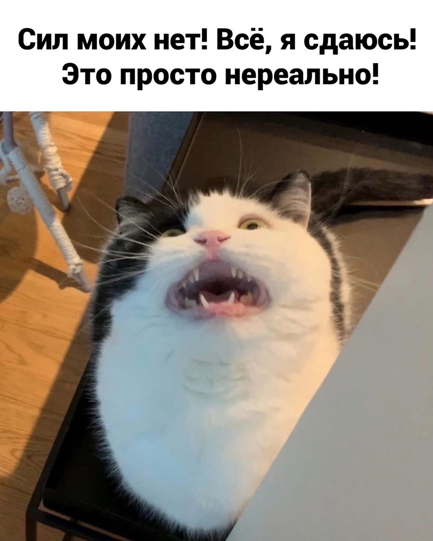 Сил моих нет Всё я сдаюсь Это просто нереально