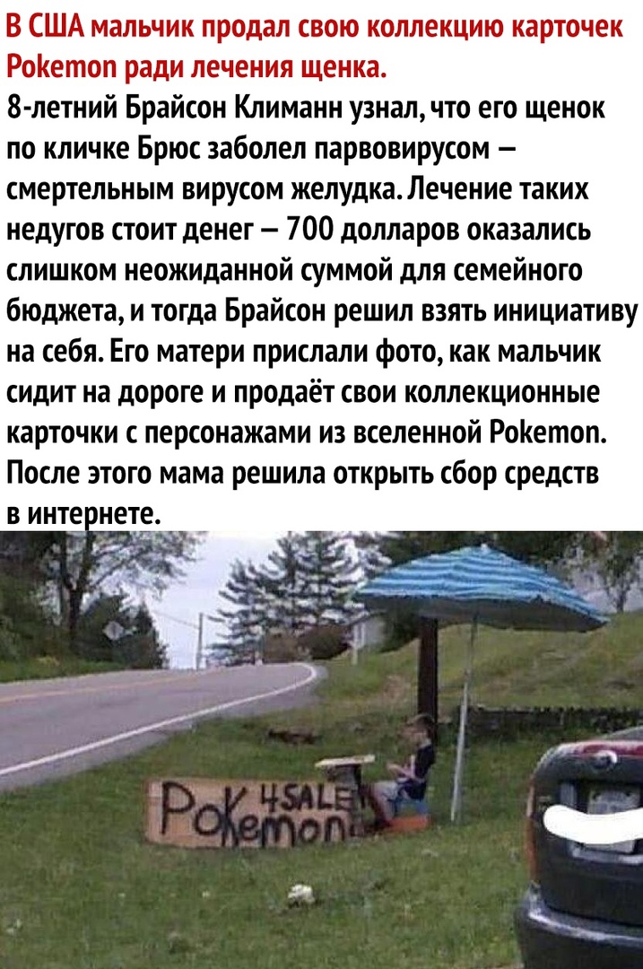 В США мальчик продал свою коллекцию карточек РоКетоп ради лечения щенка 8 летний Брайсон Климанн узналчто его щенок по кличке Брюс заболел парвовирусом смертельным вирусом желудкаЛечение таких недугов стоит денег 700 долларов оказались слишком неожиданной суммой для семейного бюджета и тогда Брайсон решил взять инициативу на себя Его матери прислали фото как мальчик сидит на дороге и продаёт свои 