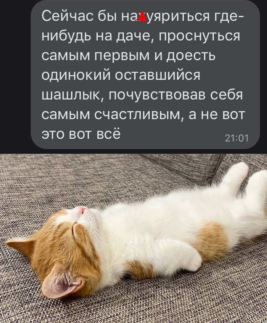 Сейчас бы нагуяриться где нибудь на даче проснуться самым первым и доесть одинокий оставшийся шашлык почувствовав себя самым счастливым а не вот это вот всё