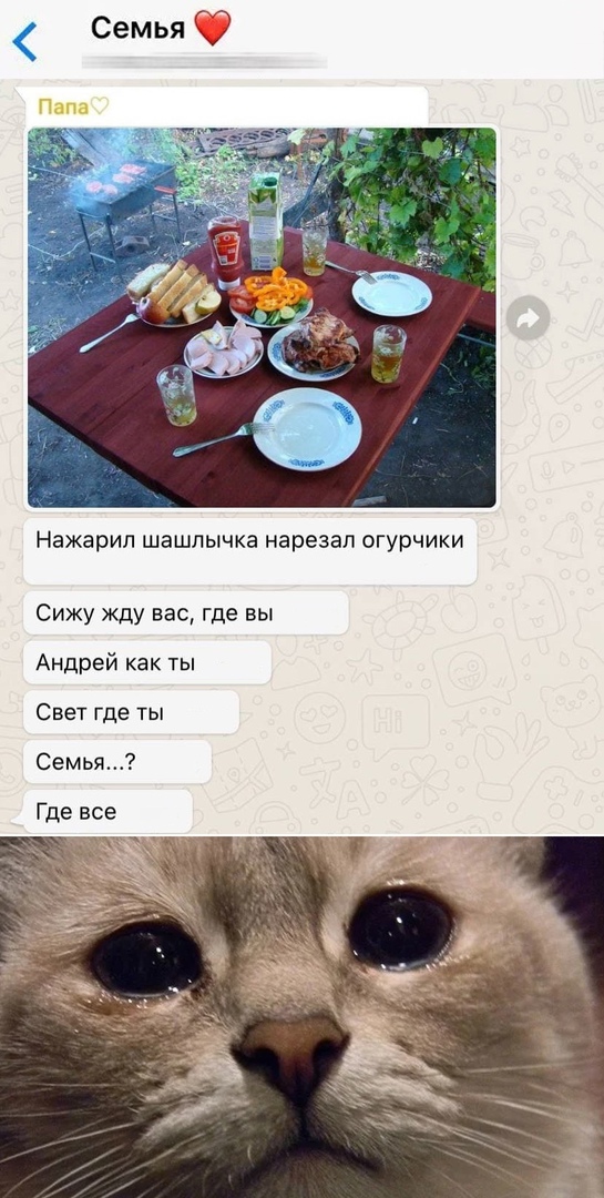 Нажарип ШЭШЛЫЧКЭ нарезал огурчики Сижу жду вас где вы Андрей как ты Свет где ты Семья Где все