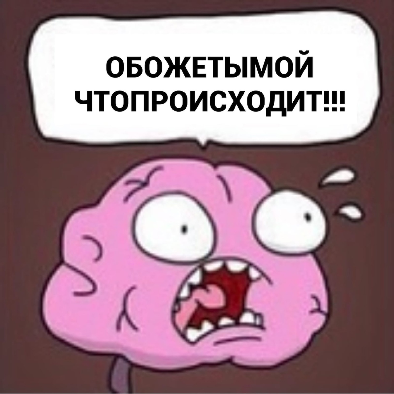 овожвтымой чтопроисходитш