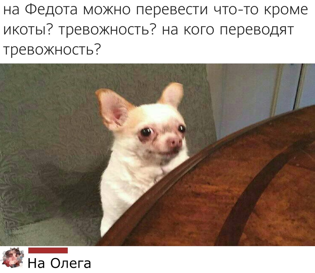 на Федота можно перевести чтото кроме икоты тревожность на кого переводят тревожность _ На Олега