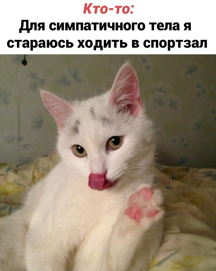 Кто то для симпатичного тела я стараюсь ходить в спортзал