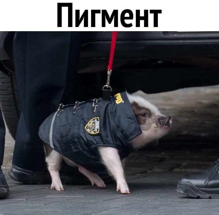 «2 акз ете ща ааа а,