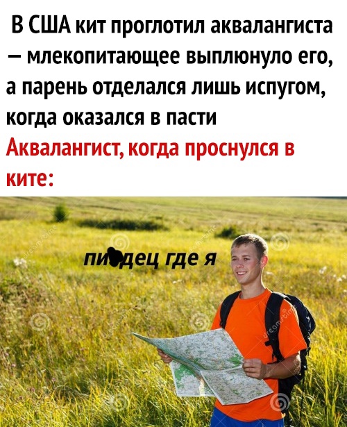 В США кит проглотил аквалангиста млекопитающее выплюнуло его а парень отделался лишь испугом когда оказался в пасти д_ Лщіддеі