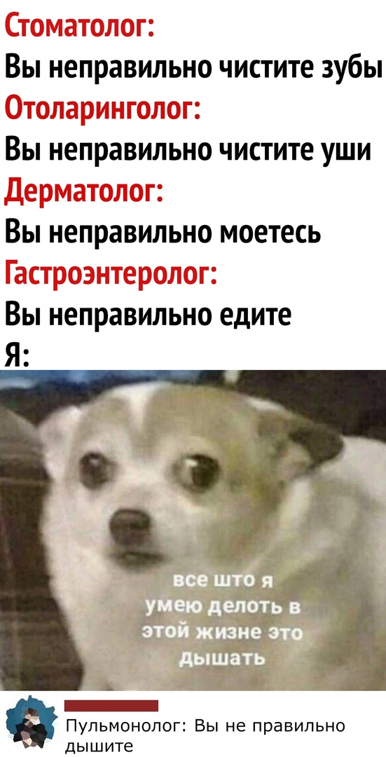 гі этт 1 11 т к Вы неправильно чистите зубы л давшая от Вы неправильно чистите уши __1и_гзі Вы неправильно моетесь і ВЫ неправильно едите Пульмонолог Вы не правильно дышите