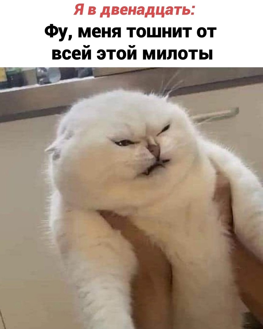 Я в двенадцать Фу меня тошнит от всей этой милоты