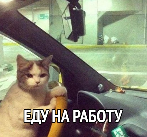 Еду НА РАБОТУ _ _