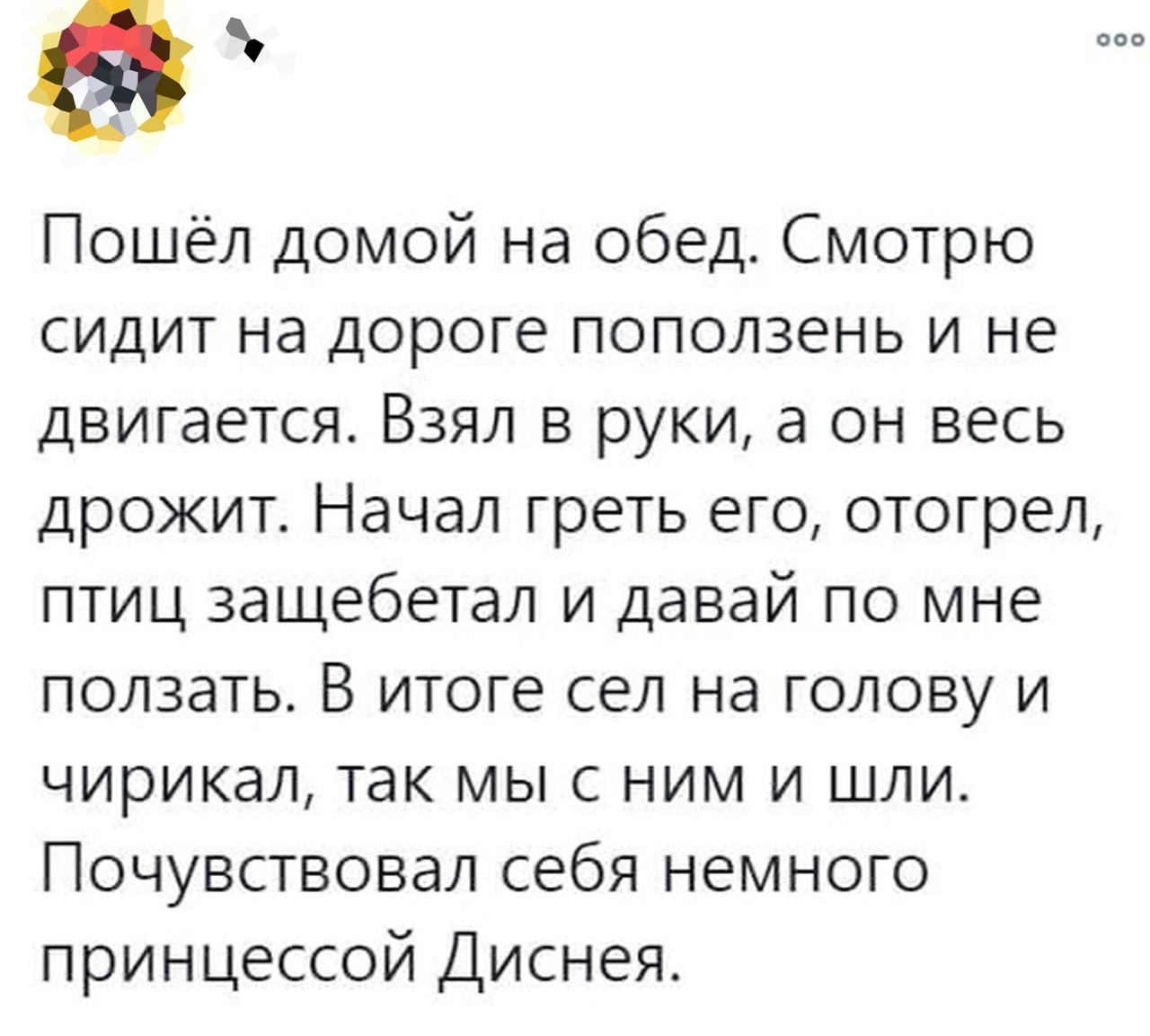 а к Пошёл домой на обед Смотрю сидит на дороге поползень и не двигается Взял в руки а он весь дрожит Начал греть его отогрел птиц защебетал и давай по мне ползать В итоге сел на голову и чирикал так мыс ним и шли Почувствовал себя немного принцессой Диснея
