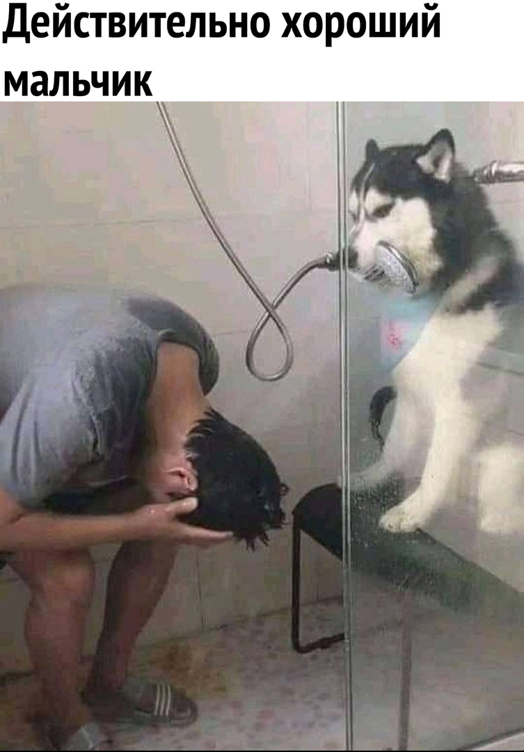 Действительно хороший мальчик
