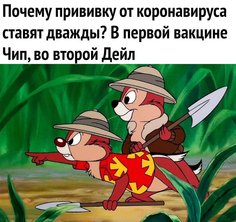 Почему прививку от коронавируса ставят дважды В первой вакцине Чип во второй Дейл