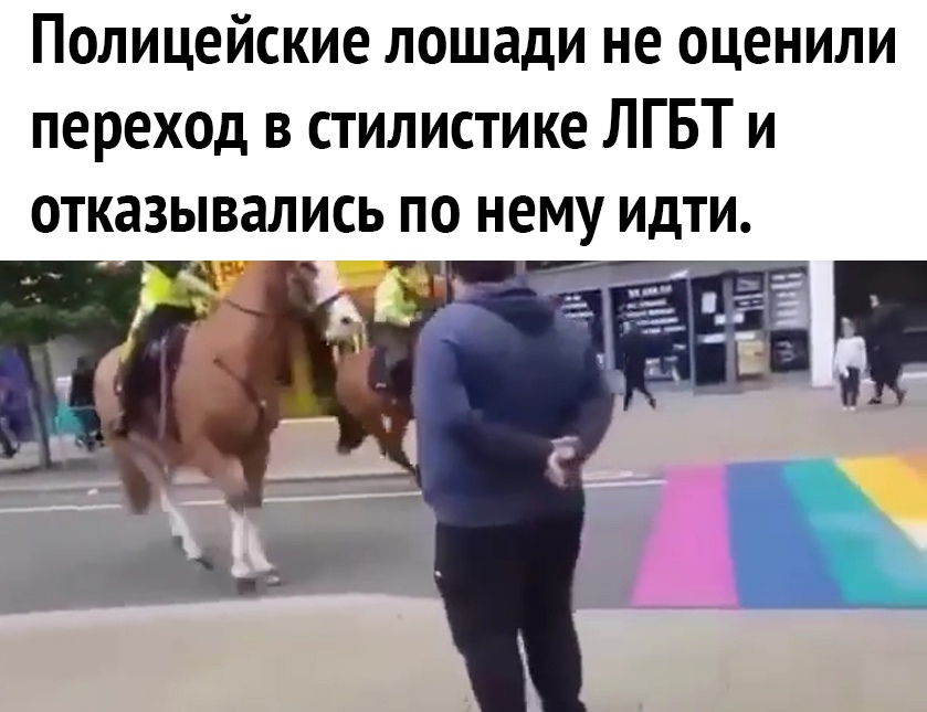 Полицейские лошади не оценили переход в стилистике ЛГБТ и отказывались по нему идти