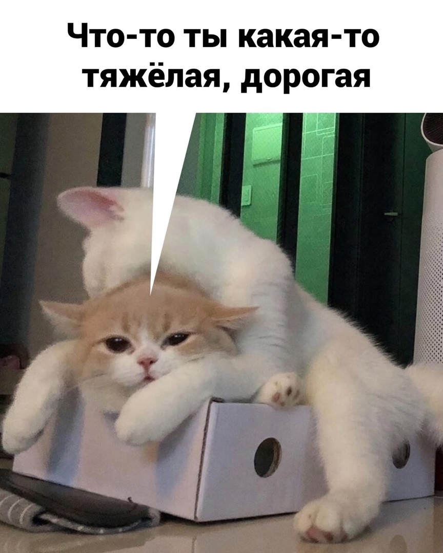 Что то ты какая то